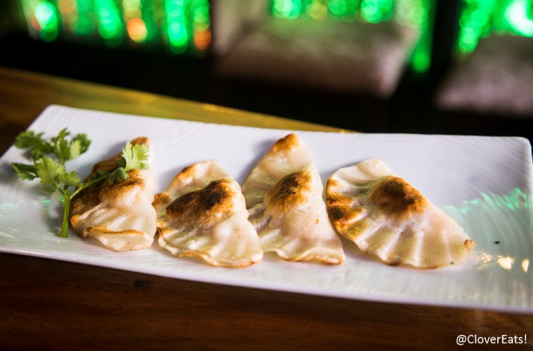 Chicken Dumpling in Malay Style