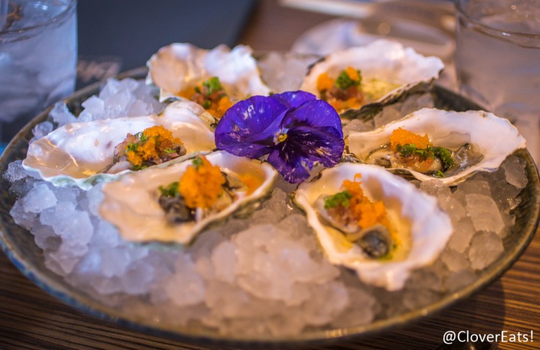 CloverEats-Blufish-9