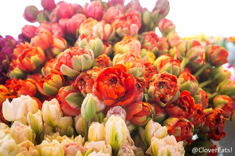 CloverEats-Piroshky-2