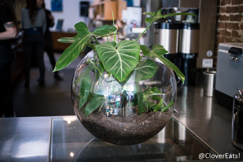 CloverEats-Stumptown-6